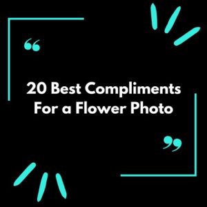 How to Compliment a Flower Photo