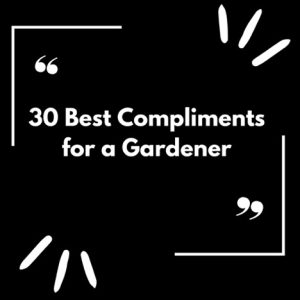 How to Compliment a Gardener